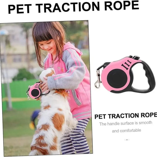 Ultimate Night Dog Leash Set