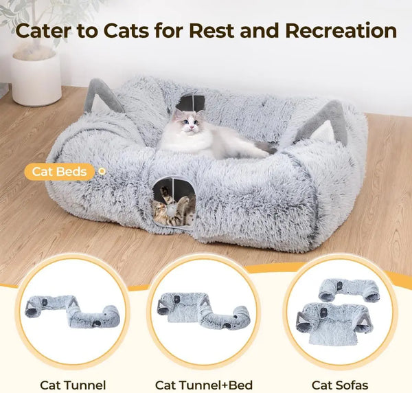 Cozy Cat Adventure Hub